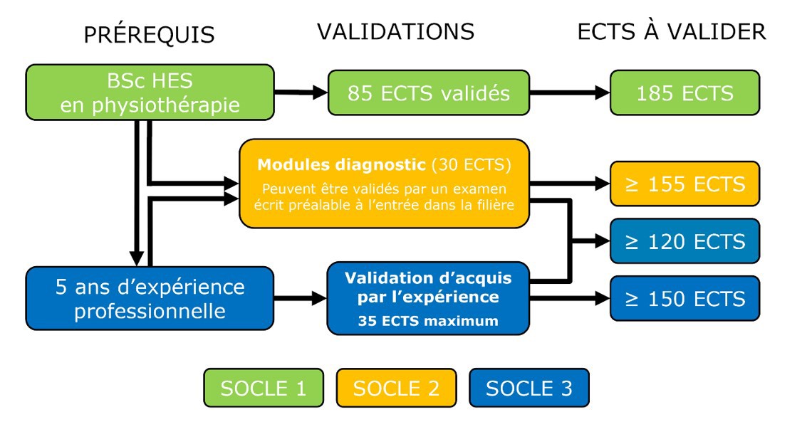 Ostéopathie - Passerelle physiothérapie-ostéopathie - Schéma résumant les modalités de validation de crédits ECTS