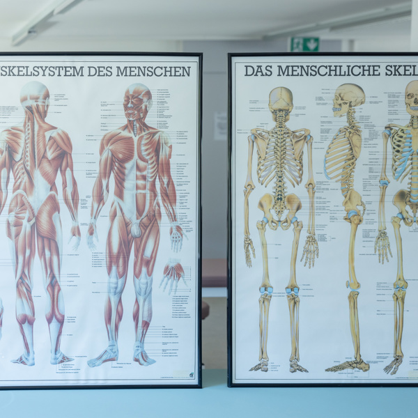Formations - Ostéopathie - Passerelle physiothérapie-ostéopathie