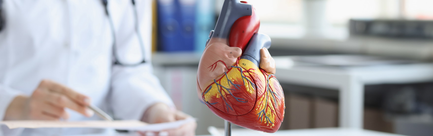 Projet - EX_NEEDS_LVAD_DT - Image principale